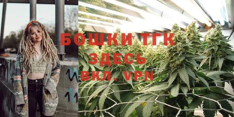 Канабис OG Kush  Ветлуга 